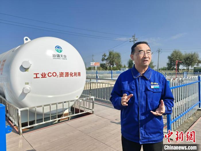 中國人“種菜天賦”有多強？戈壁荒漠變“智慧農場”